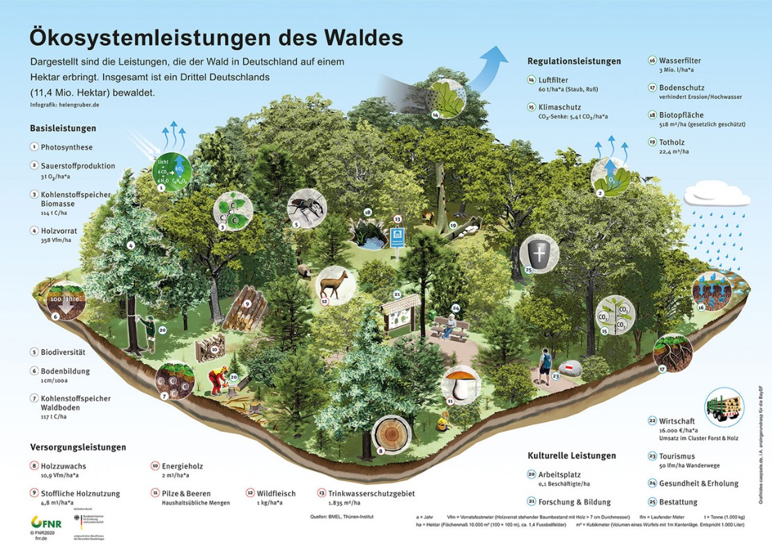 Fachagentur Nachwachsende Rohstoffe e.V. (FNR)